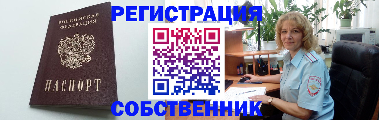 форма 3 в Сольцах